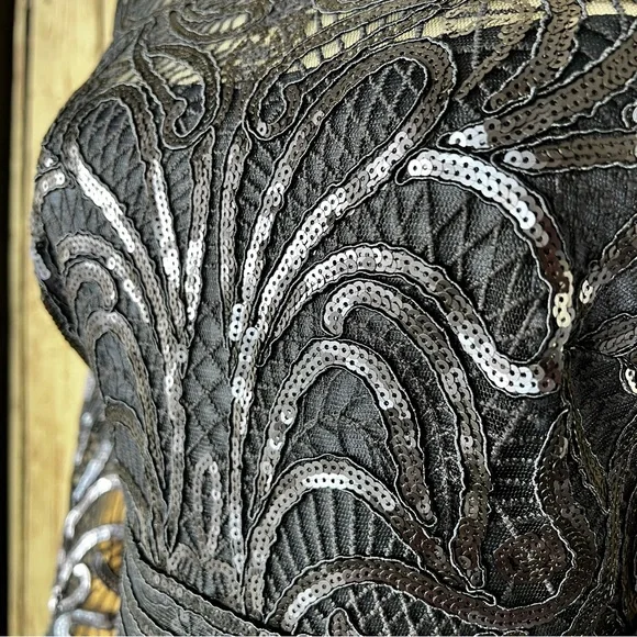 Tadashi Shoji Sequins Swirl Fitted Lace Long-Sleeve Cocktail Dress Size 2 EUC - Picture 5 of 16